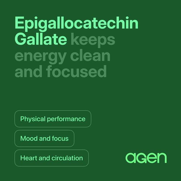 Epigallocatechin Gallate (EGCG)