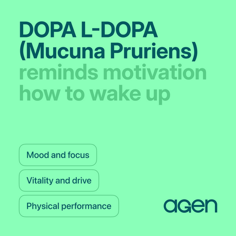 DOPA L-DOPA (Mucuna Pruriens)