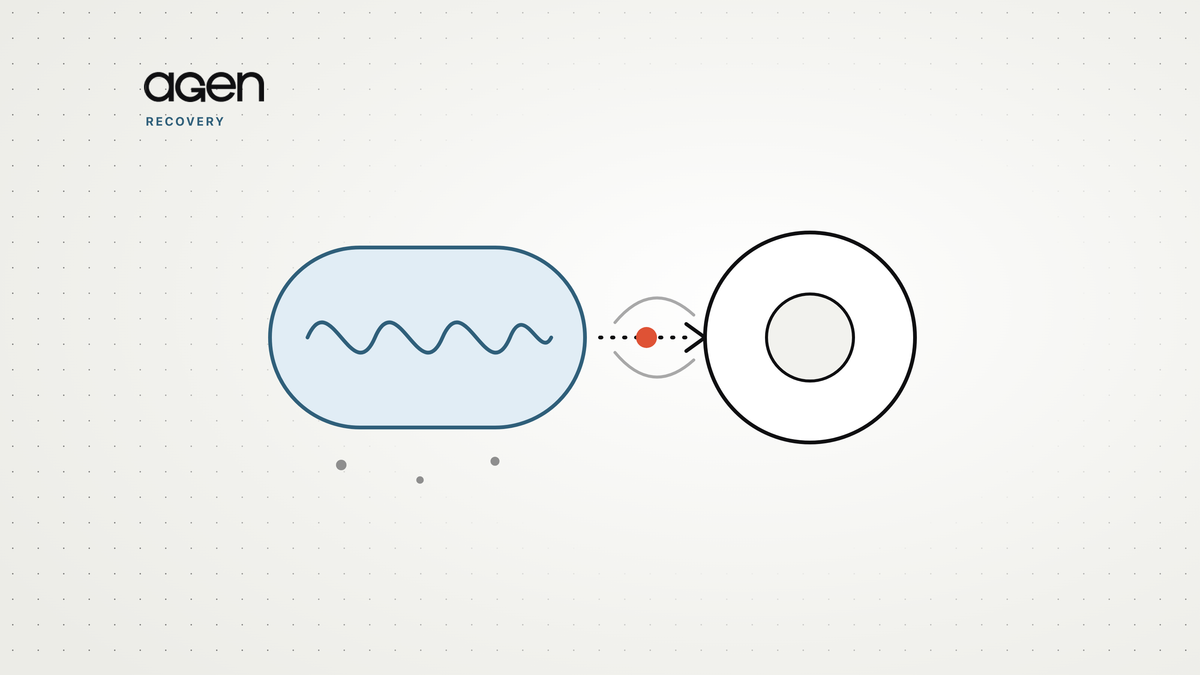 Diagram of a mitochondrion sending a signal, marked by a coral dot, to a cell nucleus.