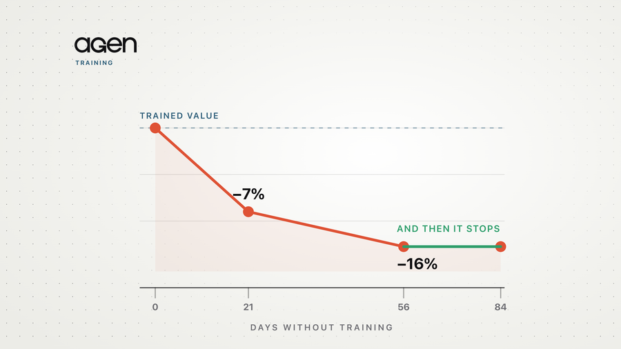 A line falling from a dashed trained-value baseline to minus seven per cent at day twenty-one and minus sixteen per cent at day fifty-six, then running flat to day eighty-four.