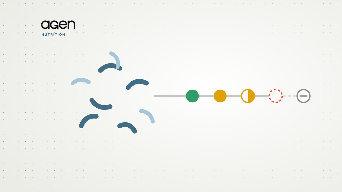 Curved rod-shaped gut bacteria on the left, joined by a line to a chain of five evidence nodes, the fourth an empty dashed coral circle.