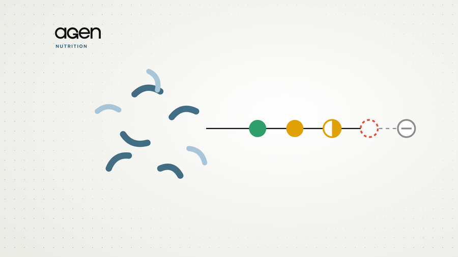 Curved rod-shaped gut bacteria on the left, joined by a line to a chain of five evidence nodes, the fourth an empty dashed coral circle.