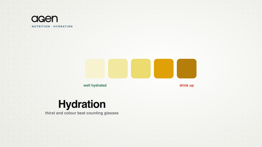 A graduated urine colour scale from pale (well hydrated) to dark amber (drink more).