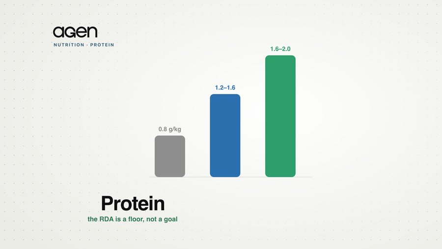 Ascending bars comparing the 0.8 g/kg RDA floor with higher protein targets for active and older adults.