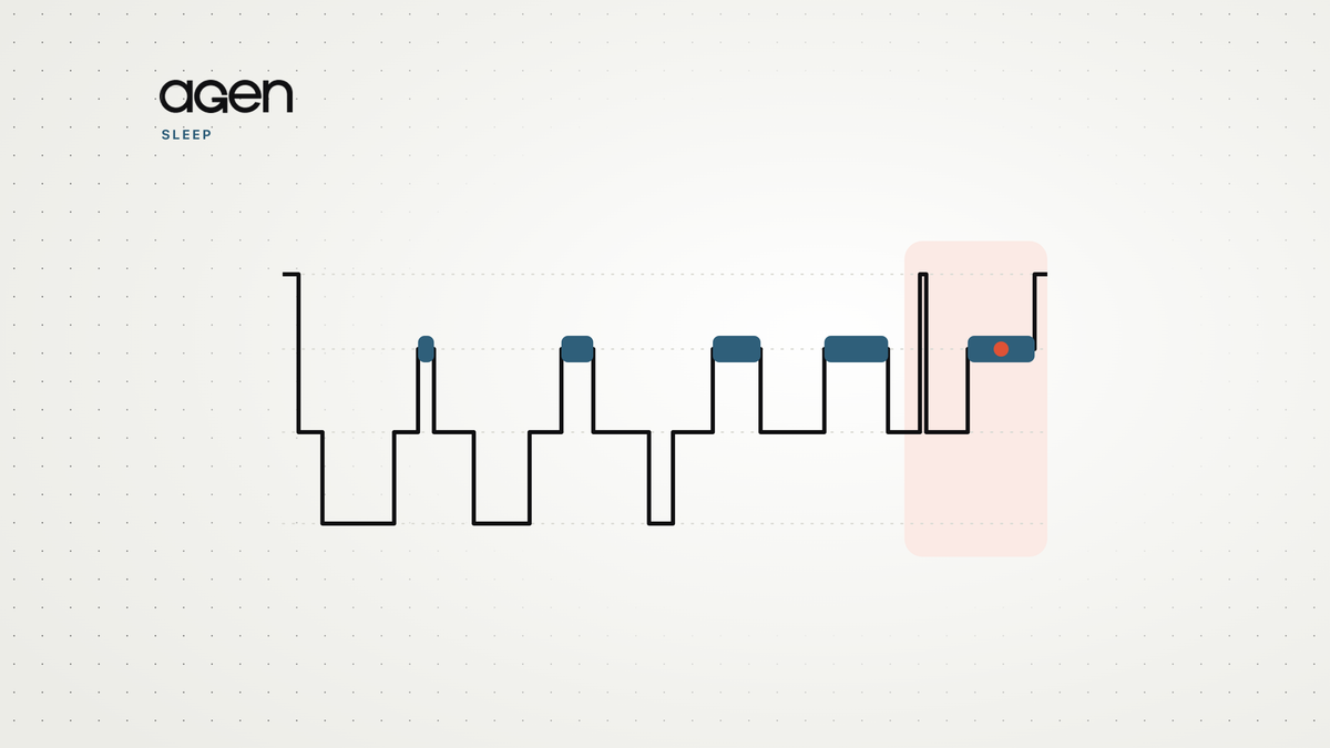 Schematic hypnogram of a night’s sleep, with REM periods growing longer toward morning and the last 90 minutes highlighted.
