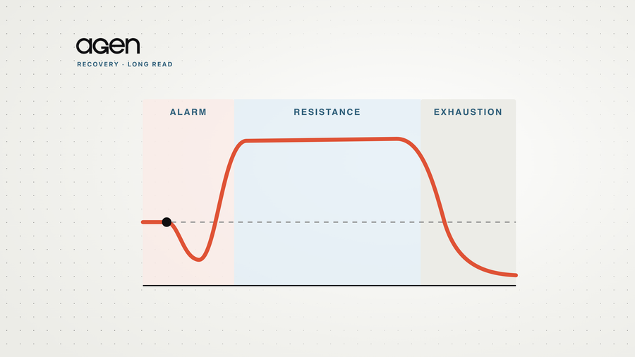 Schematic of Selye’s general adaptation syndrome: a coral curve dips in the alarm phase, holds high through resistance, and falls in exhaustion.