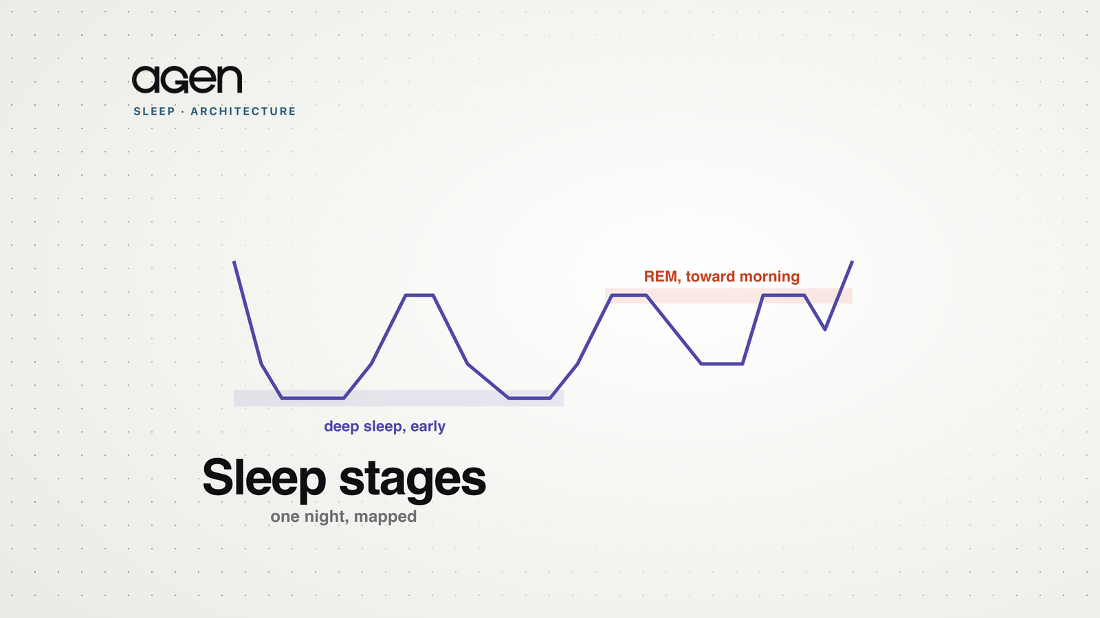 A hypnogram of one night's sleep: deep sleep dominating early, REM periods lengthening toward morning.