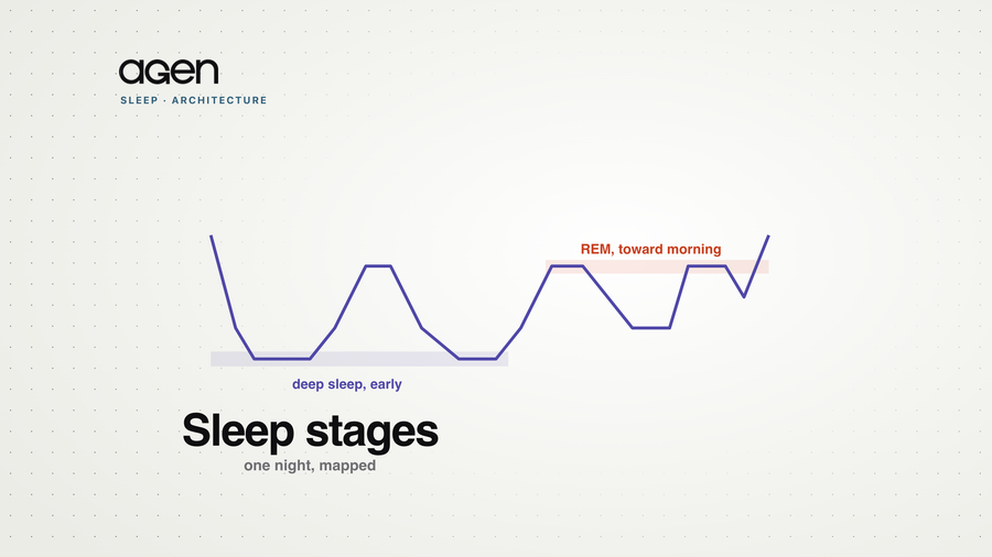 A hypnogram of one night's sleep: deep sleep dominating early, REM periods lengthening toward morning.