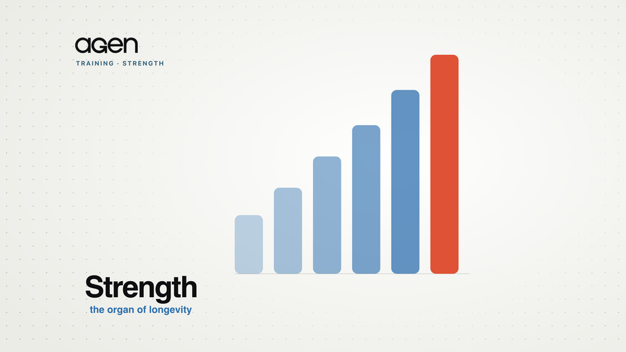Ascending blocks representing strength built over time.