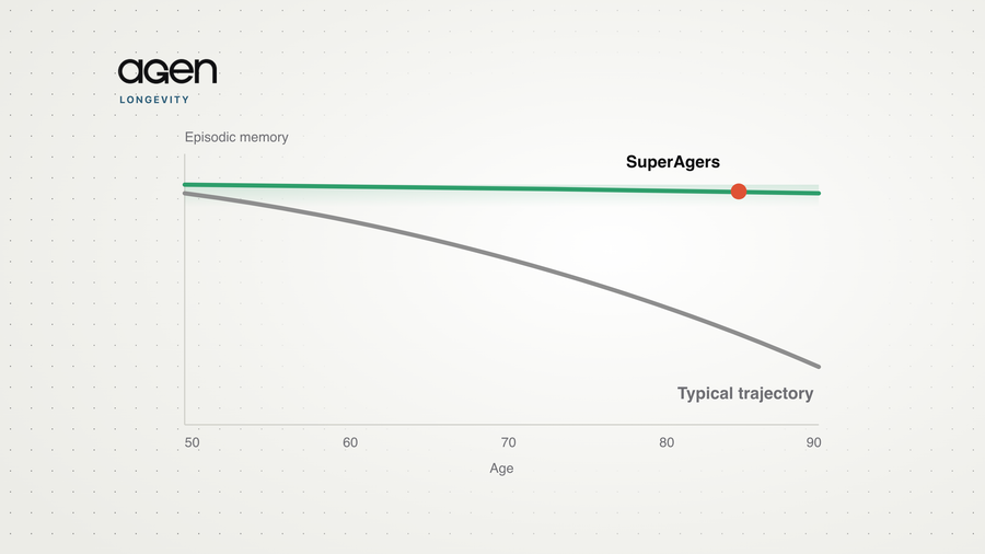 Two schematic memory trajectories from age 50 to 90: a typical curve declining steadily, and a SuperAger line staying flat.