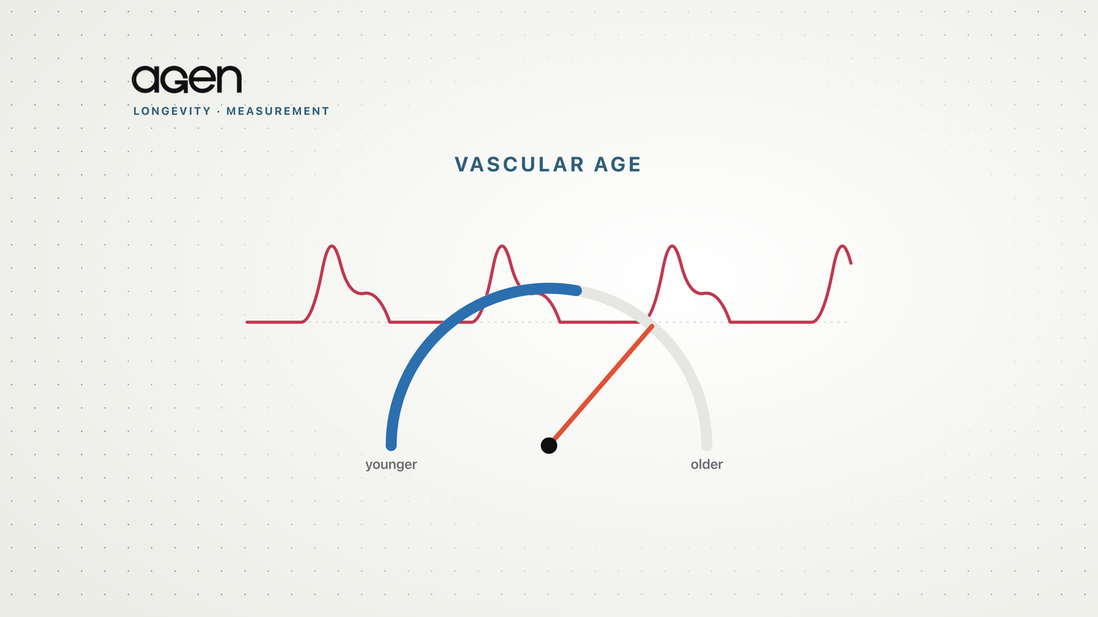 An overnight pulse waveform above a two-age dial, illustrating vascular age relative to chronological age.