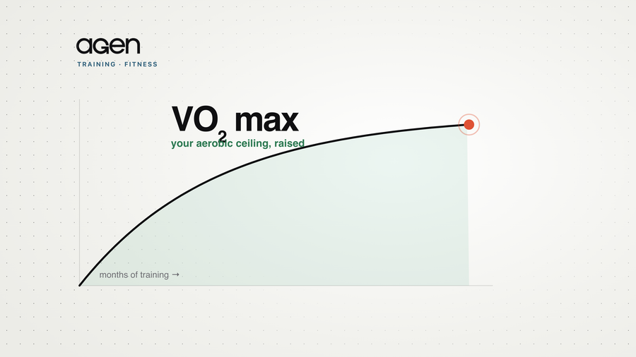 A curve of VO₂ max rising over months of training toward an aerobic ceiling.