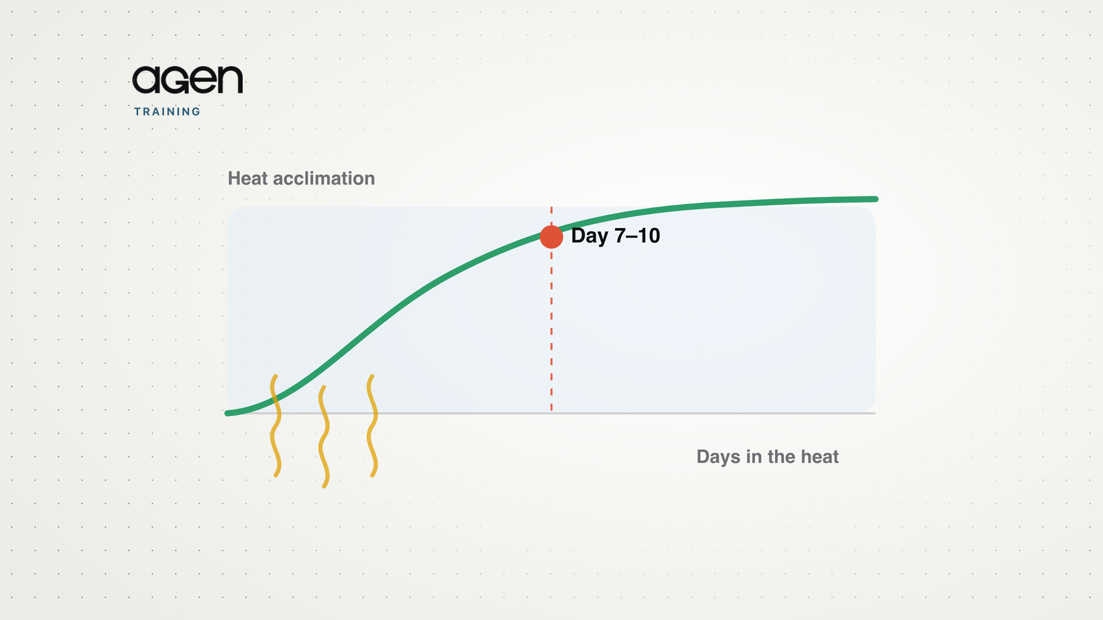 An Agen chart showing heat acclimation rising steeply over the first week of heat exposure and flattening around day 7 to 10
