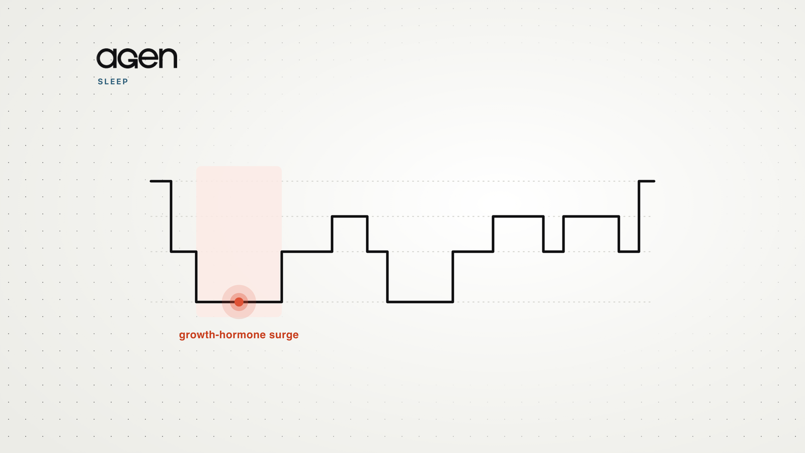 Illustration of a night's hypnogram with the largest growth-hormone surge marked during the first deep-sleep period.