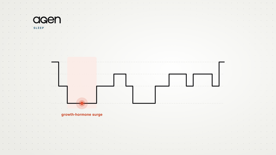 Illustration of a night's hypnogram with the largest growth-hormone surge marked during the first deep-sleep period.