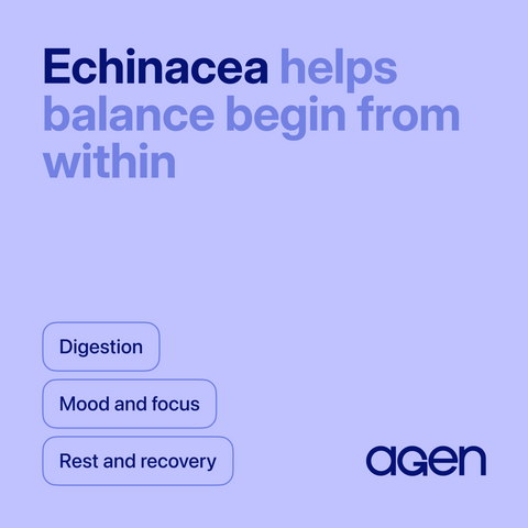 Echinacea