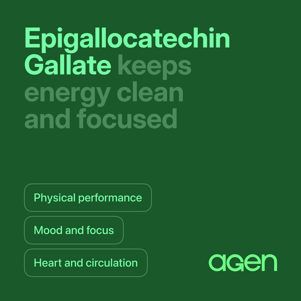 Epigallocatechin Gallate (EGCG)