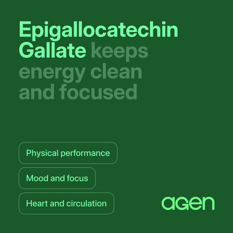 Epigallocatechin Gallate (EGCG)